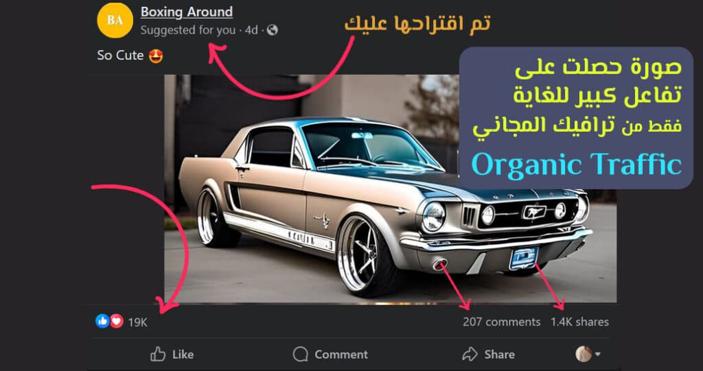 معنى كلمة اورجانيك في السوشيال ميديا (دليلك حول Organic Traffic)